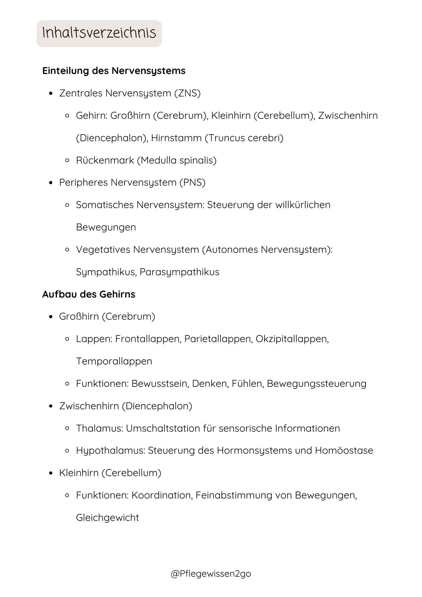 Das Nervensystem