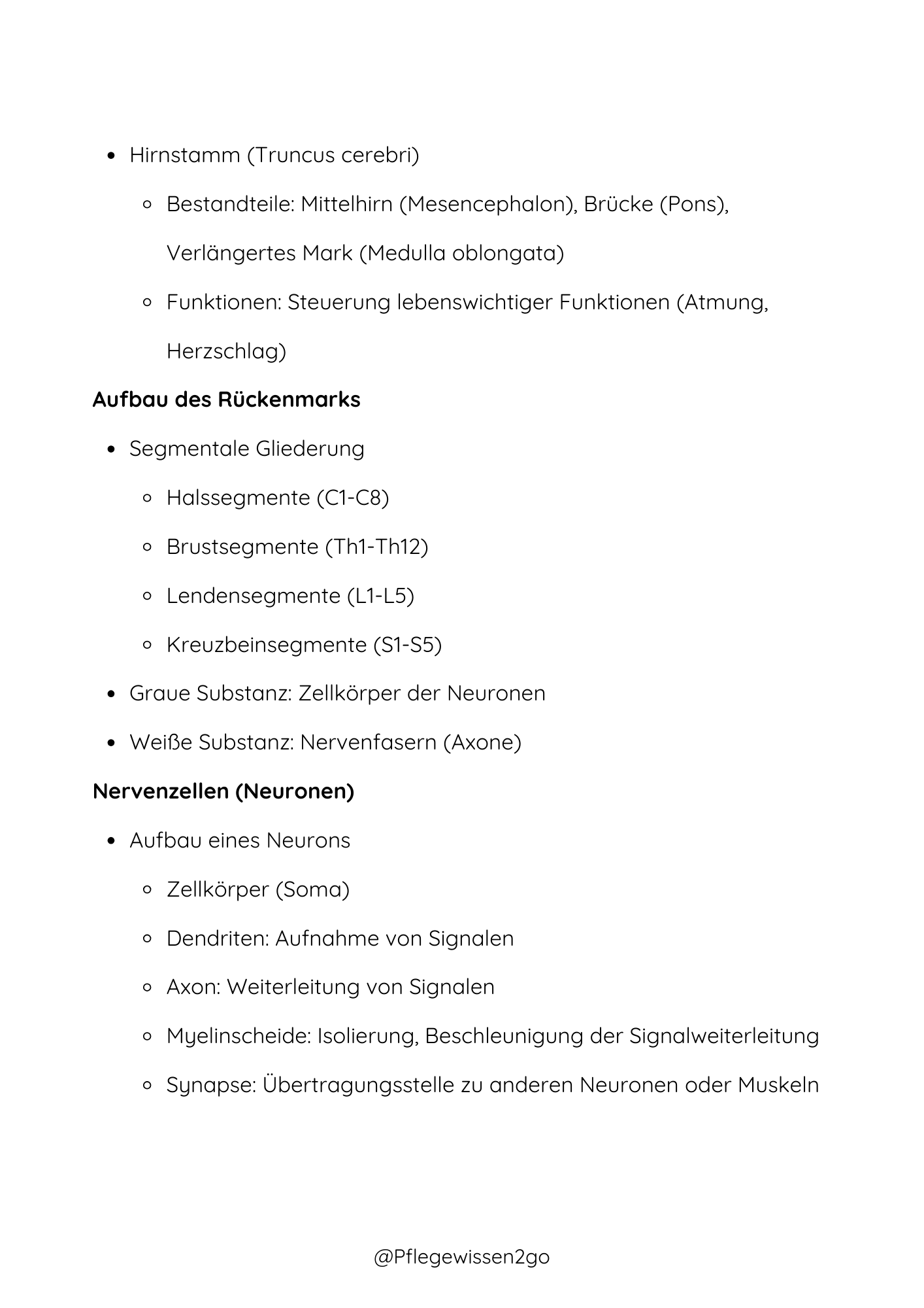 Das Nervensystem