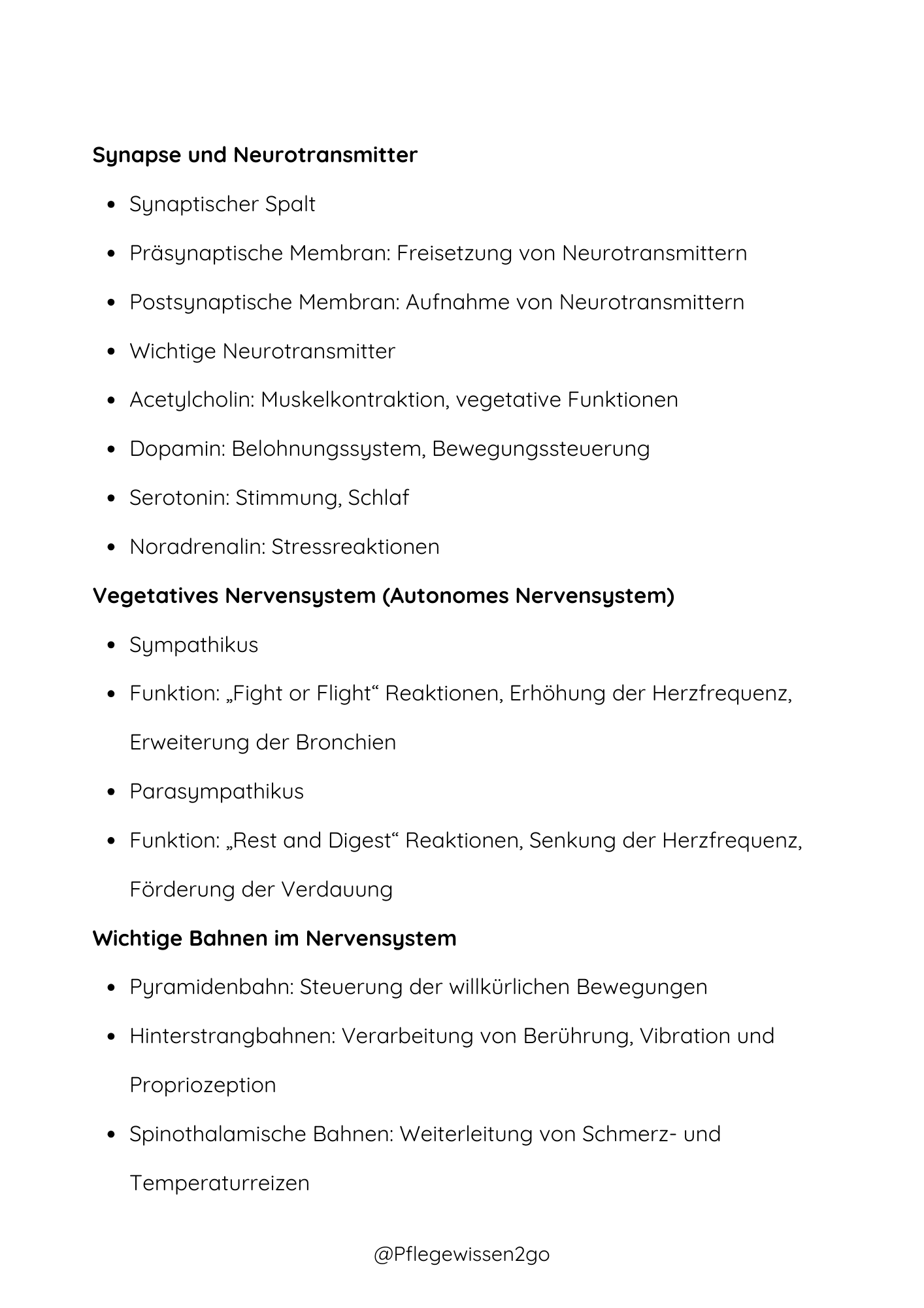 Das Nervensystem
