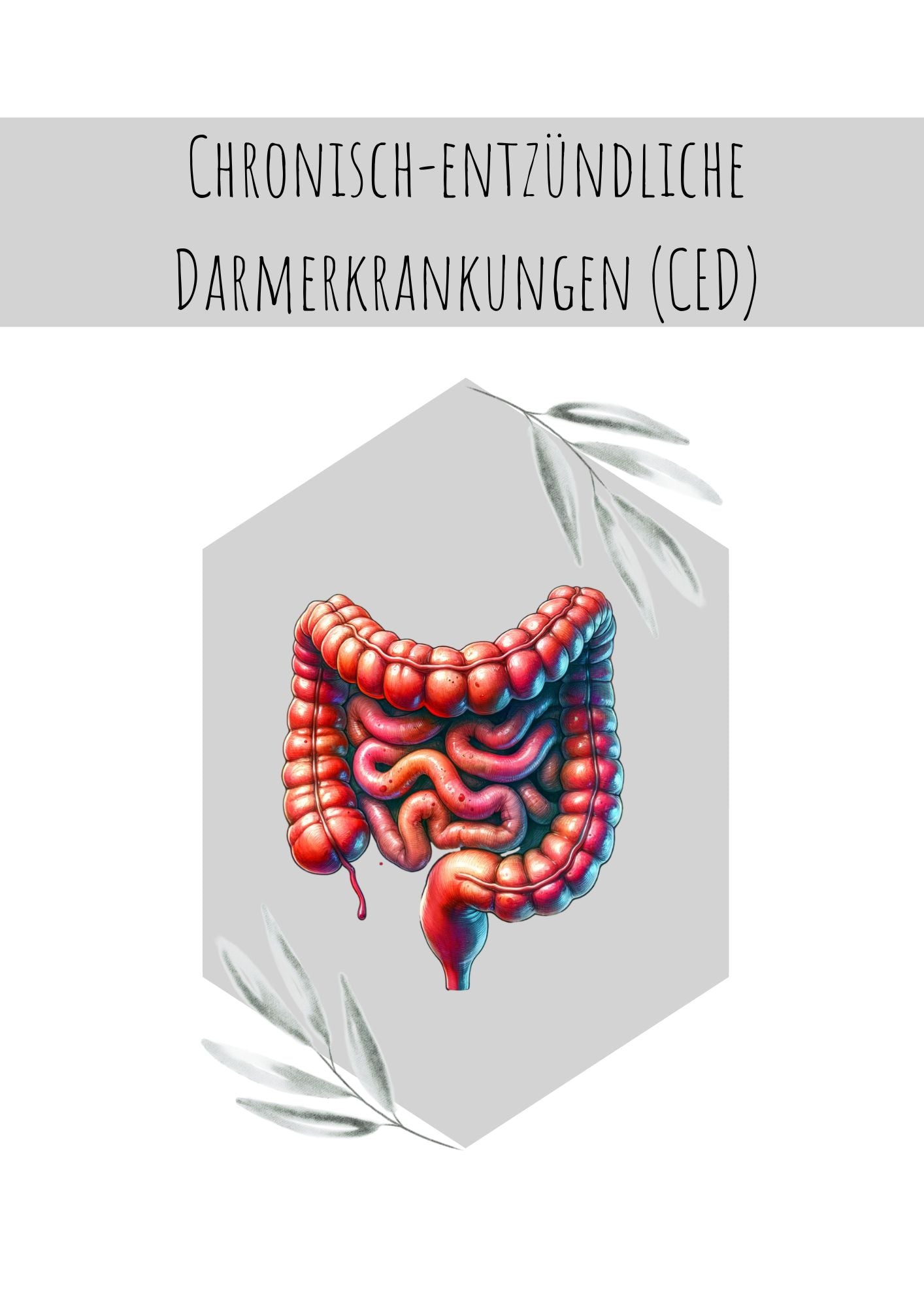 Chronisch-entzündliche Darmerkrankungen (CED)