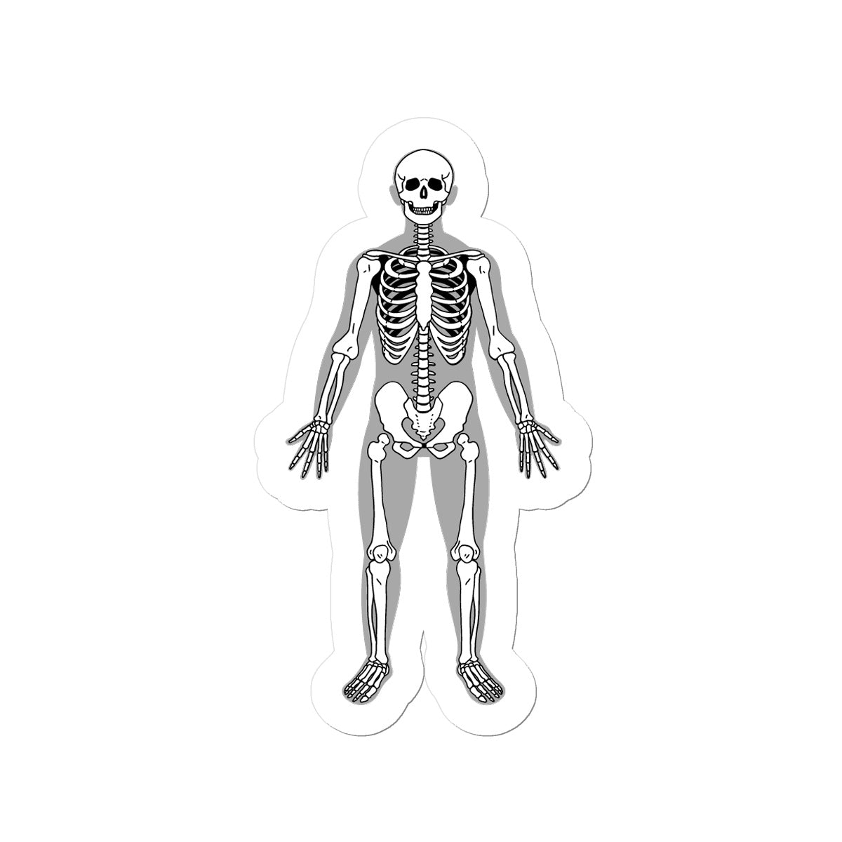 Sticker Skelett klein