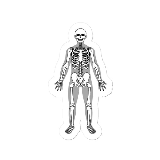 Sticker Skelett klein