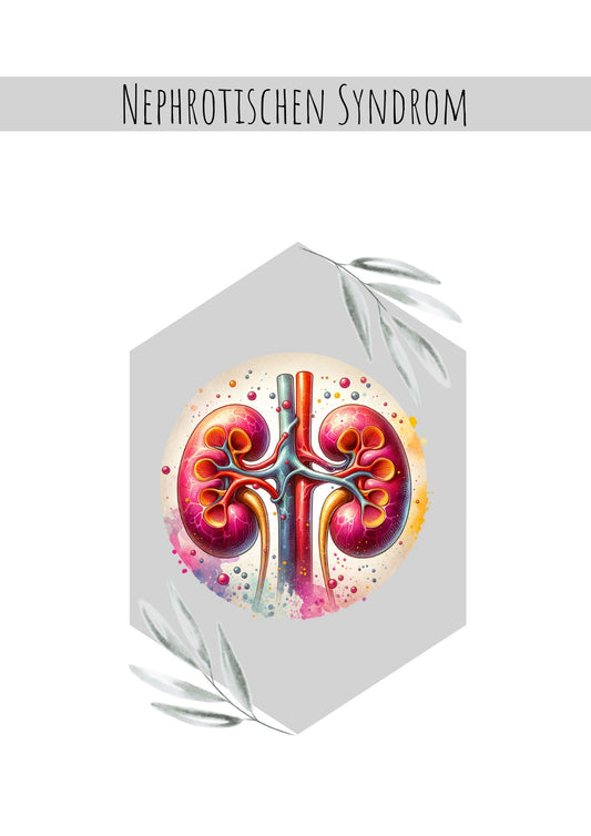 Nephrotischen Syndrom