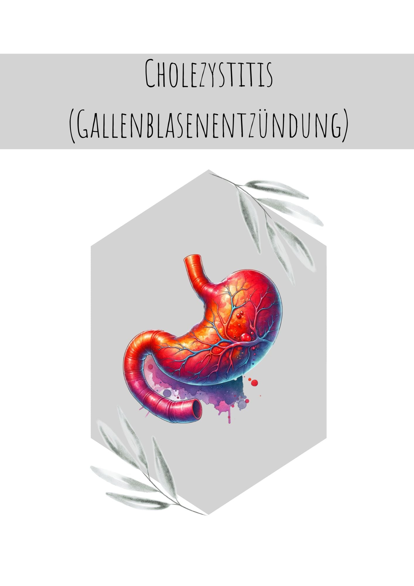 Cholezystitis (Gallenblasenentzündung)