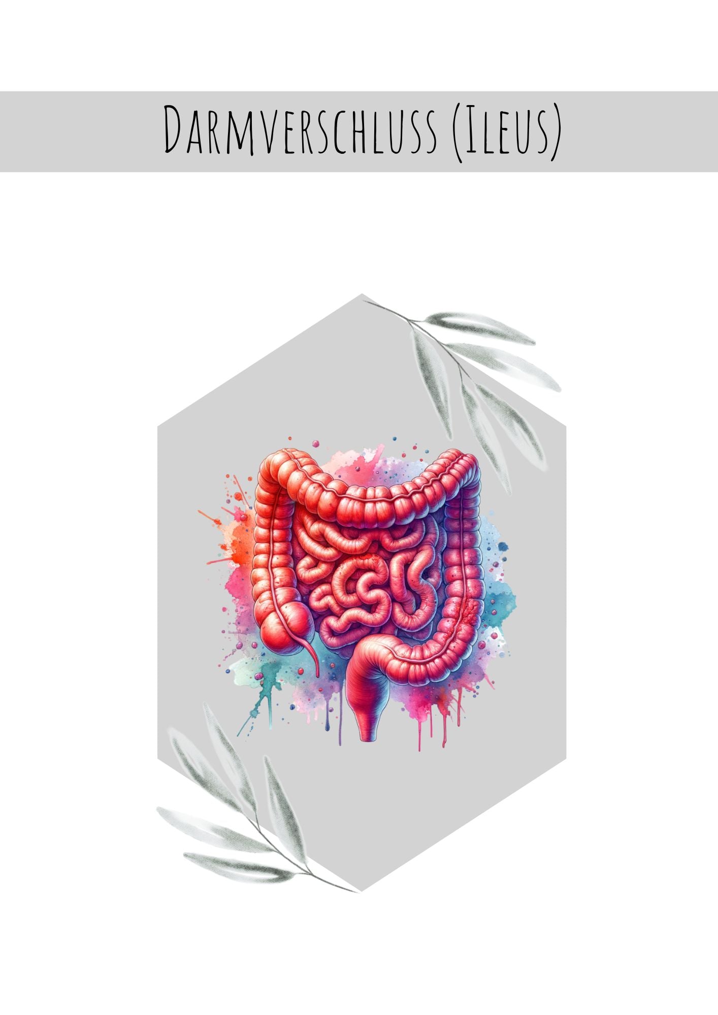 Darmverschluss (Ileus)