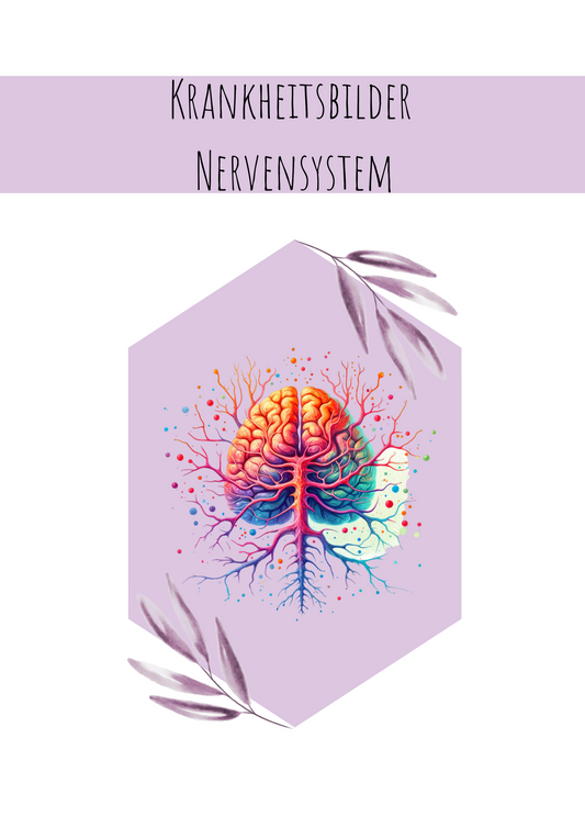 Krankheitsbilder Nervensystem